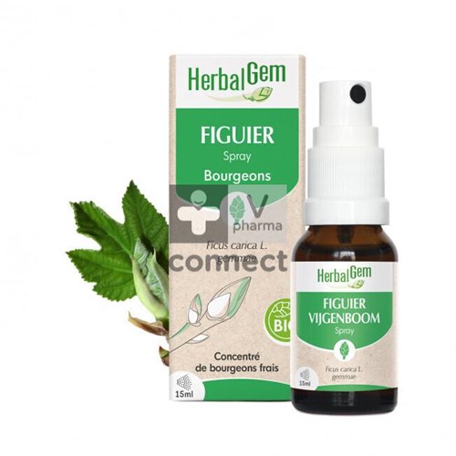 Herbalgem Figuier Spray Bio 15 ml