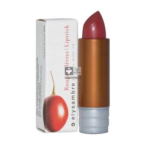 Elysambre Rouge A Levres Glossy 201 Brun Rouge
