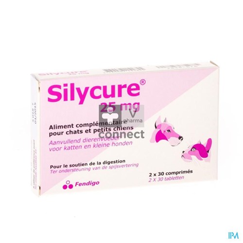 Silycure 25 mg 60 Comprimés