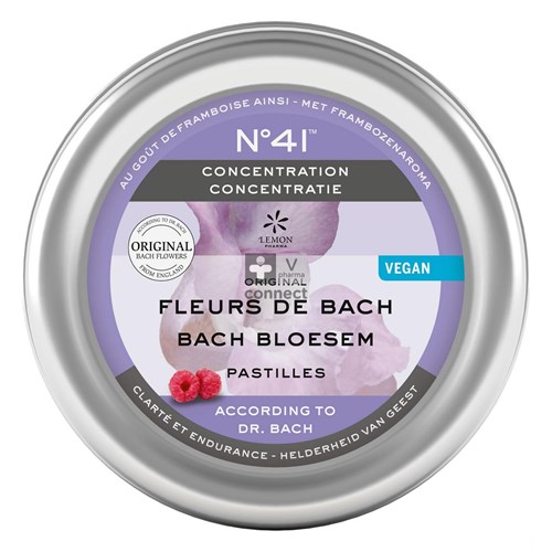 Bach Flower Concentration Pastilles 50 g