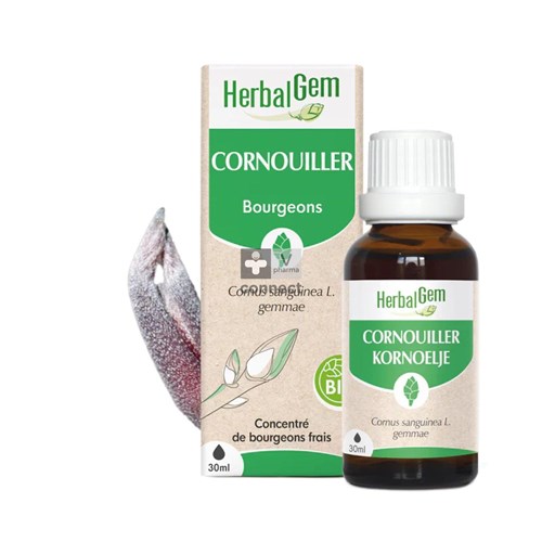 Herbalgem Cornouiller Bio 30 ml
