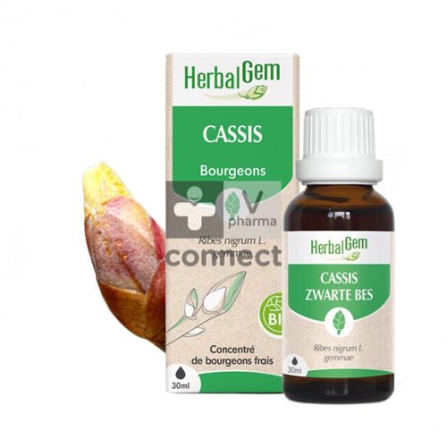 Herbalgem Cassis Bio 30 ml