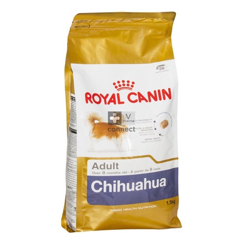 Bhn Chihuahua 1,5kg