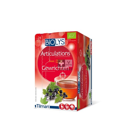 Biolys Infusion Cassis 24 Sachets