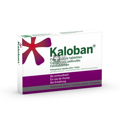 VSM Kaloban 42 tabletten