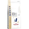 Royal-Canin-Renal-Chat-Special-2-Kg.jpg