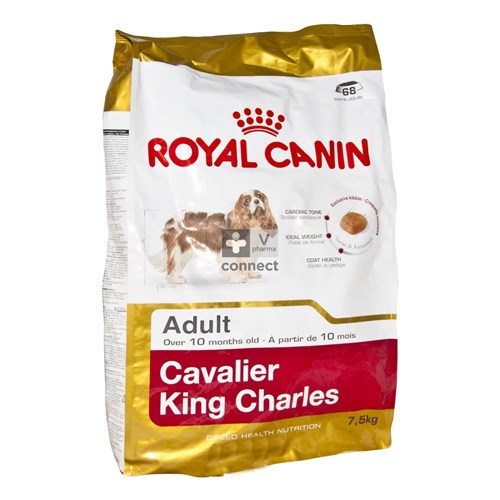 Royal Canin Cavalier King Charles Adulte 7,5 kg