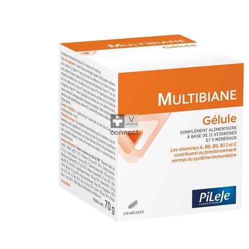 Pileje Multibiane 120 Gellules