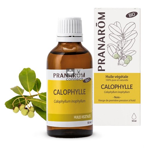 Calophyllus Bio Plant.olie 50ml Pranarom