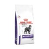 Royal-Canin-Weight-Osteo-Adult-12-Kg.jpg