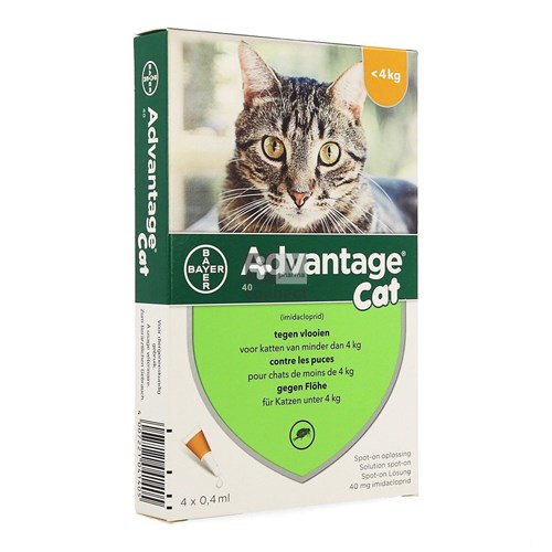 Advantage Cat 40 Spot-On 4 Pipettes