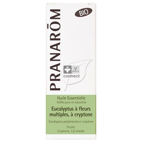 Pranarom Eucalytus à Fleurs Multiples, à Cryptone Huile Essentielle Bio 10 ml