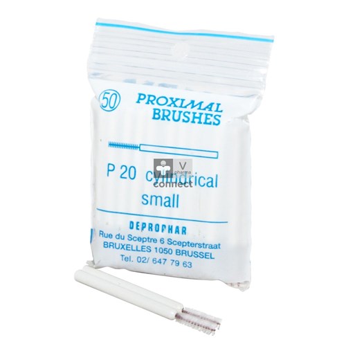 Proximal Brosse P20 Cylindrique Small  50 Pièces