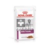 Royal-Canin-Early-Renal-Chien-Pouch-12X85g.jpg